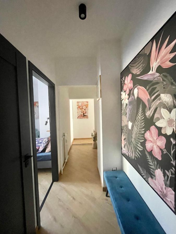 Brand New Apartment #Hollan#3Bedr#2Bathr#Freeparking Budapest Exteriör bild